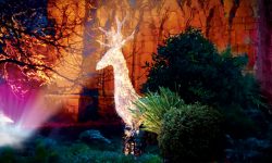 This teaser video for Christmas At Museum Gardens will make you feel all festive