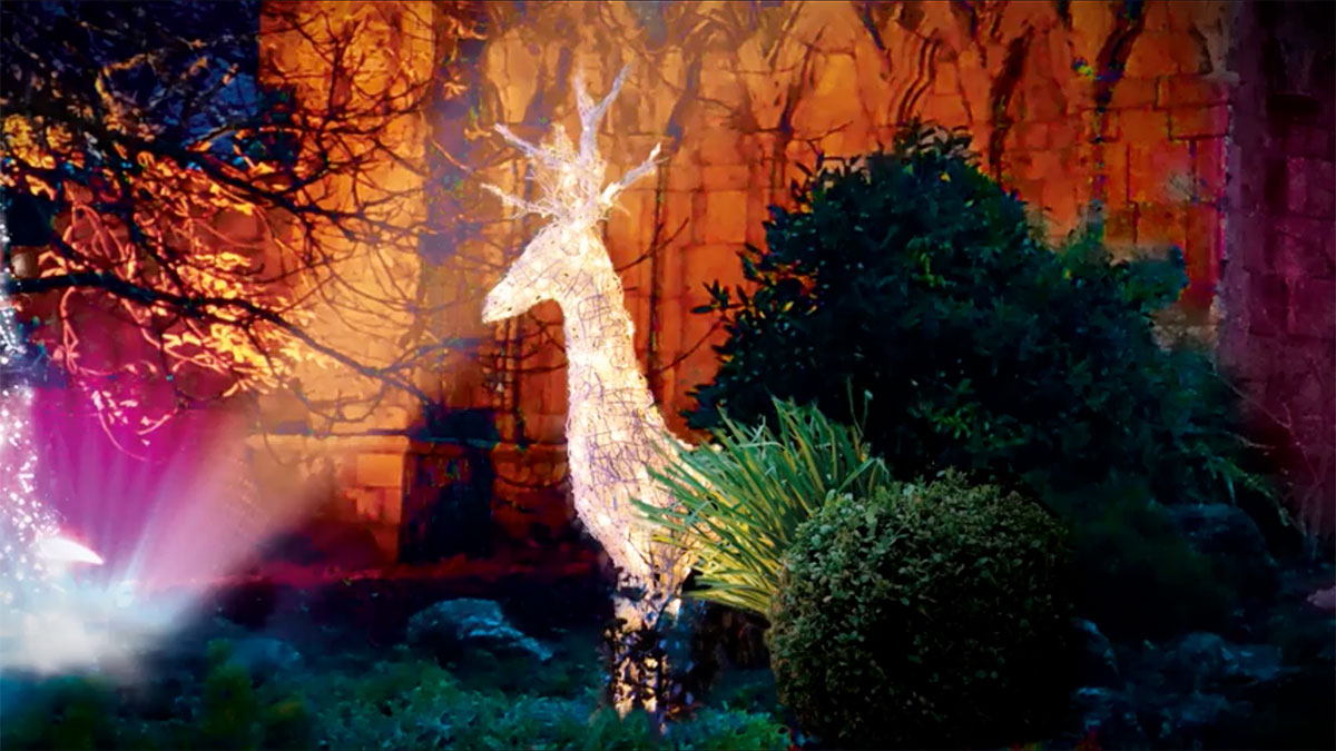 This teaser video for Christmas At Museum Gardens will make you feel all festive