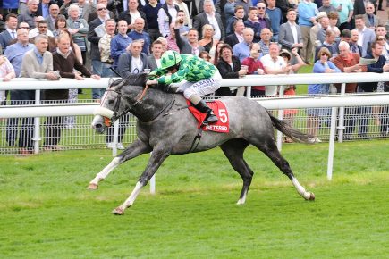 Who’ll win at York Races? Tips for the Dante Festival 2018 – Day 3