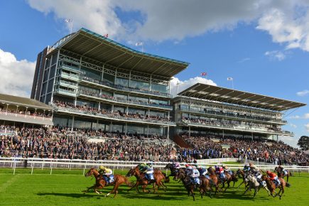 Who’ll win at York Races? Tips for the Music Showcase Weekend, Day 2