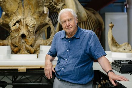 Sir David Attenborough coming to York to open new dinosaur exhibition