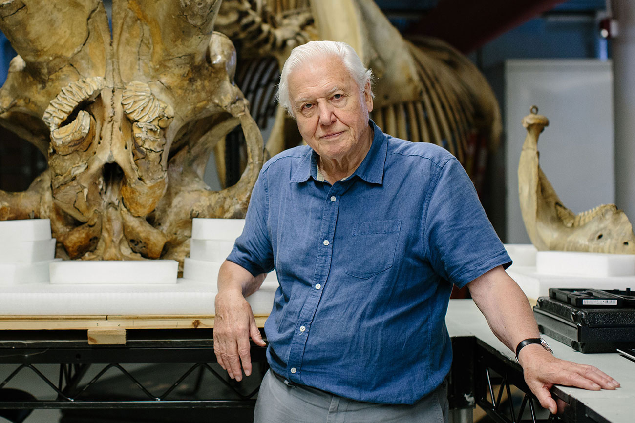 Sir David Attenborough coming to York to open new dinosaur exhibition