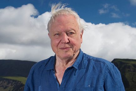 The winners! Classes from these four York schools will meet Sir David Attenborough