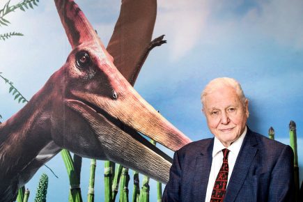Globally renowned York entertainment company goes into administration