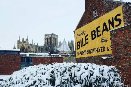 Our 38 favourite York snowy pix and videos