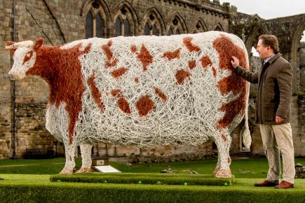 Video and pix: This is why a giant cow came to York