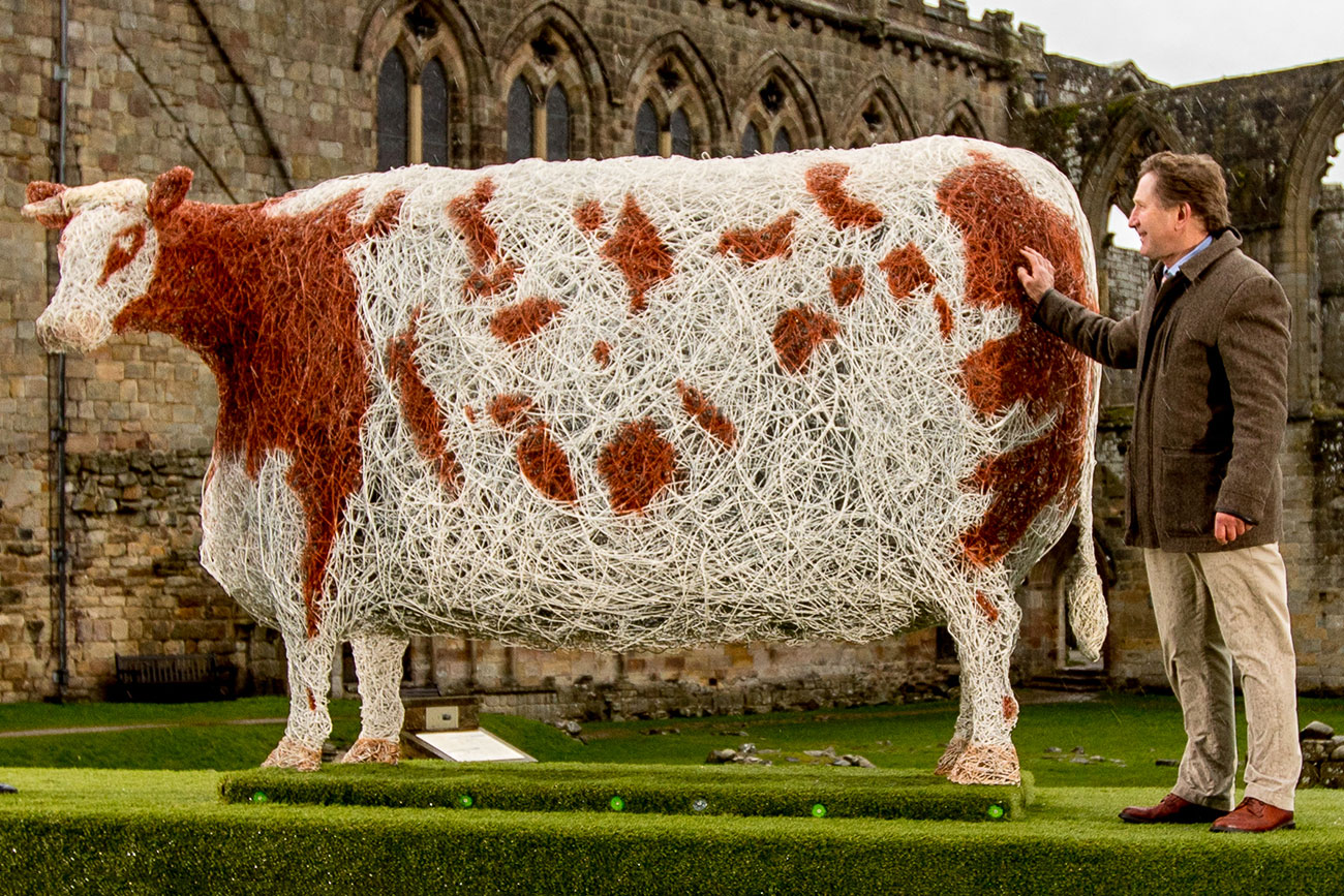 Video and pix: This is why a giant cow came to York