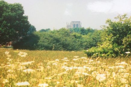‘I believe the Local Plan will cause huge damage to York. This is why’