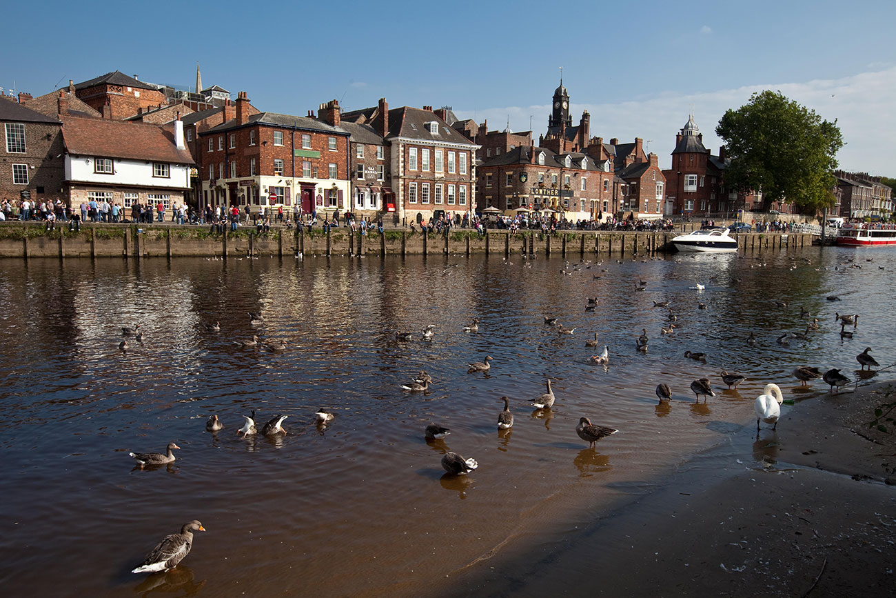 Video claims to show ‘couple having sex in public’ in York