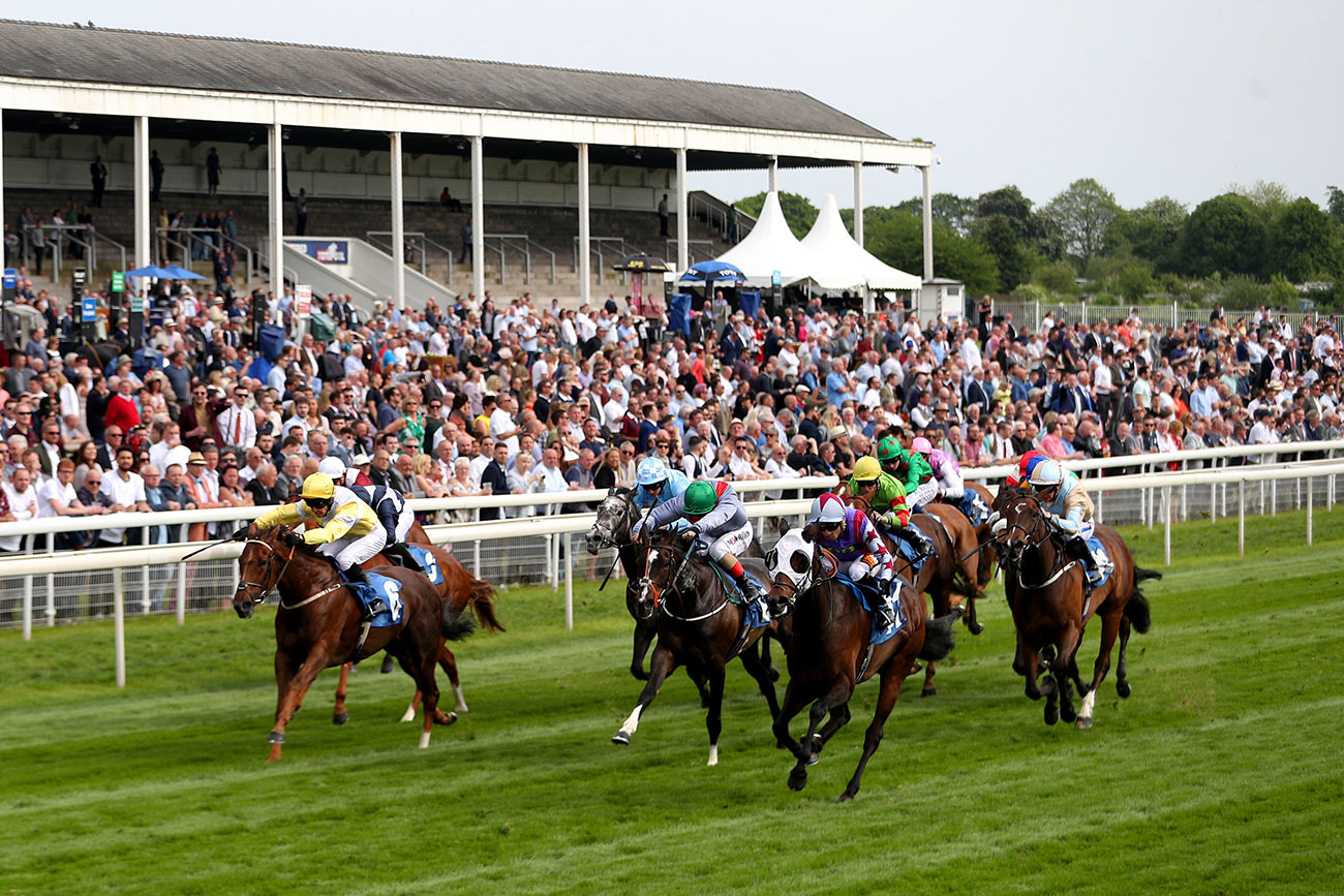 Who’ll win at York Races? Tips for the June meeting 2018, Day 2