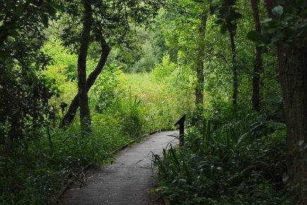 Five awesome hotspots to get your daily exercise in York