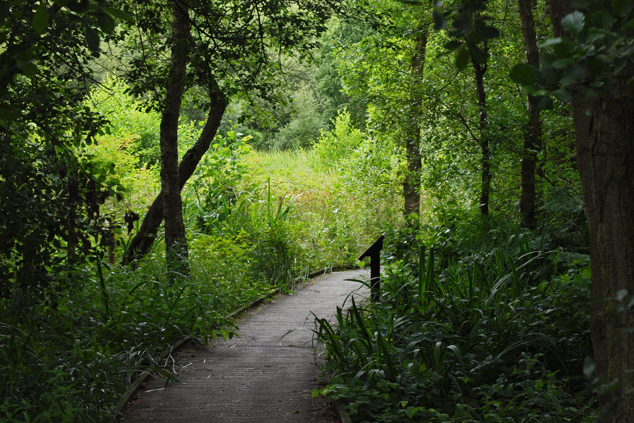 Five awesome hotspots to get your daily exercise in York