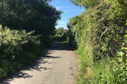Woman comes under fire from air gun on York cycle path