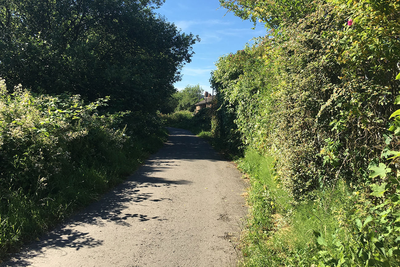 Woman comes under fire from air gun on York cycle path