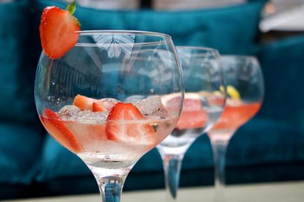 Expertly selected, 9 gins and their perfect accompaniments
