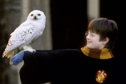Just wizard! Brand new Harry Potter tour takes in York, steam trains – and a hidden filming location