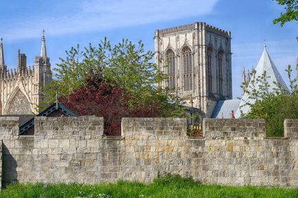 This is why York’s bar walls will be lit up in pink and blue this week