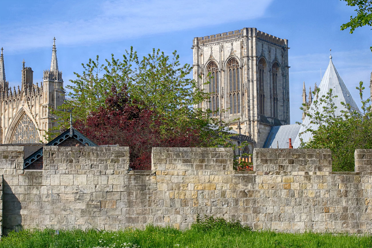 This is why York’s bar walls will be lit up in pink and blue this week