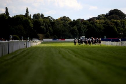Who’ll win at York Races? Tips for the York Family Raceday 2018