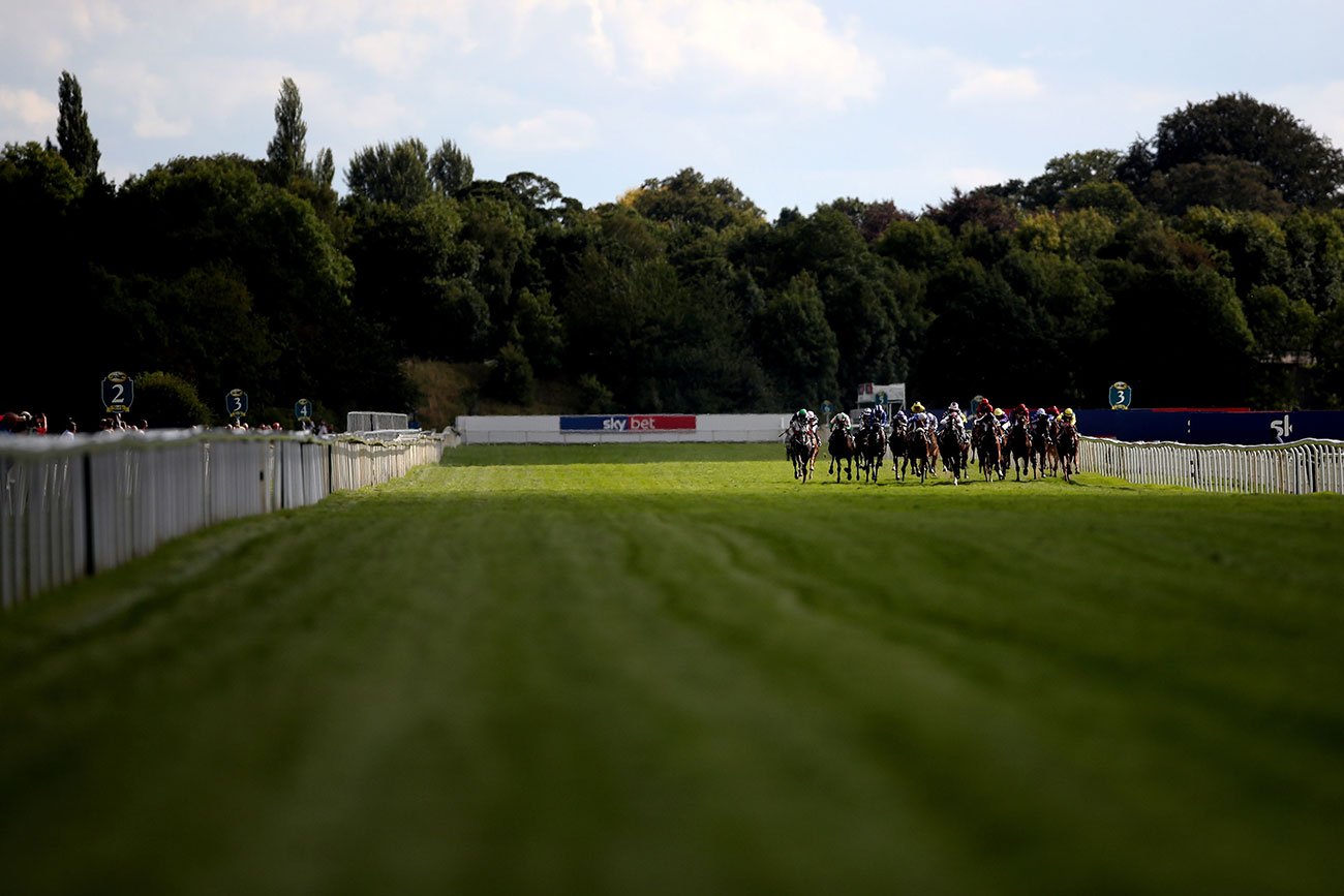 Who’ll win at York Races? Tips for the York Family Raceday 2018