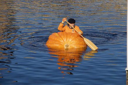 Tom paddles his pumpkin into the record books