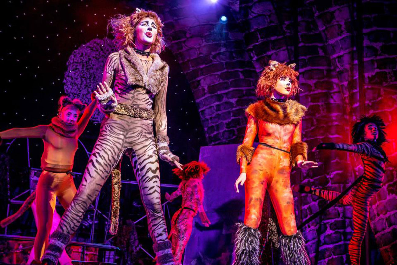 Review: Cats
