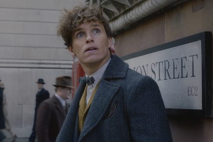 The films to see in York this month - November 2018