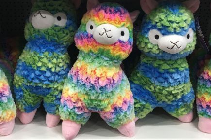 First look: 19 pictures inside York’s newest shop