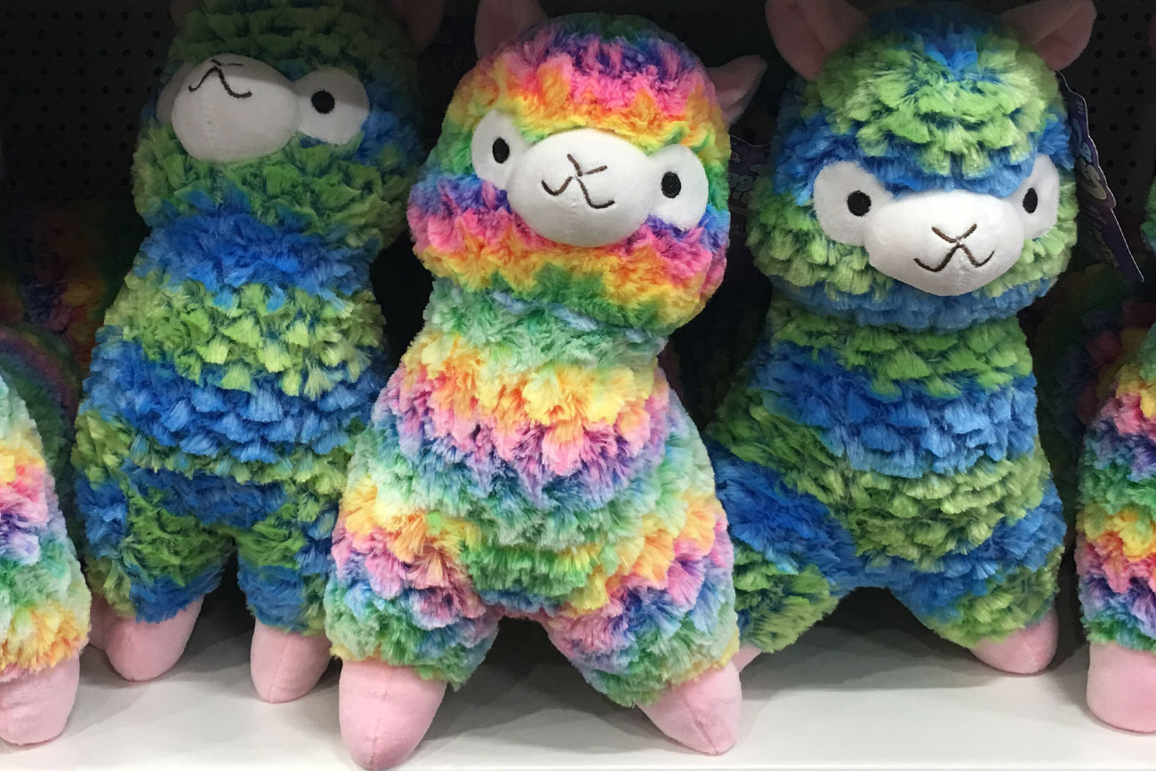 First look: 19 pictures inside York’s newest shop