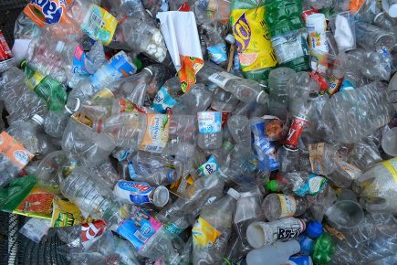Green councillor’s dismay at reusable bottle scheme proposal