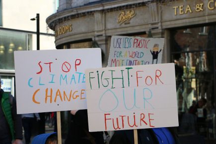 York ‘should declare a climate emergency’