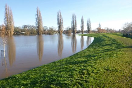 Firefighters rescue a man and his dog from floodwater in York