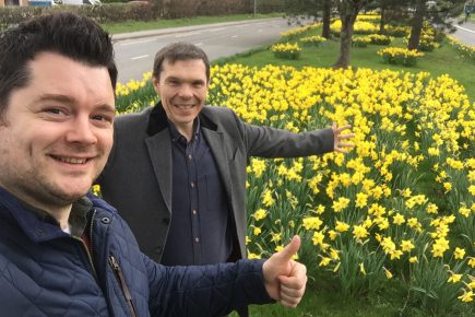 The yellow carpet… Main York road brightened by thousands of daffs