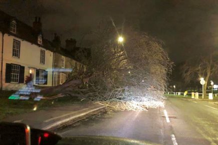 Storm Gareth brings down tree in York – as flood warnings issued