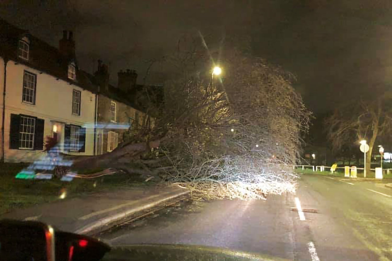 Storm Gareth brings down tree in York – as flood warnings issued