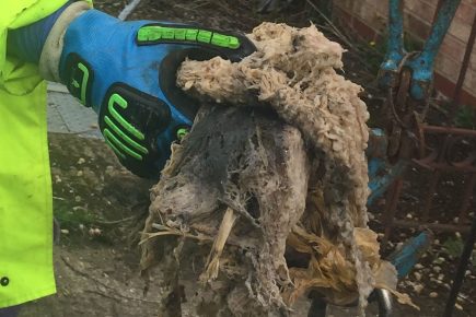 Horrible discovery in York sewer prompts plea to residents