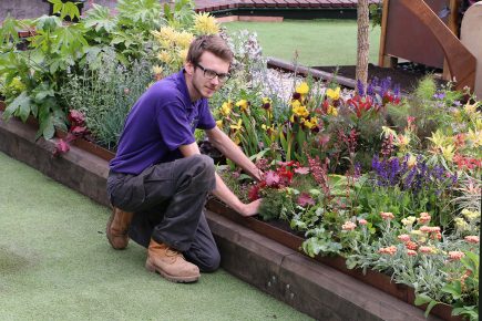 Beautiful new garden opens in the heart of York