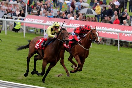 Who’ll win at York Races? Tips for the First Saturday 2019
