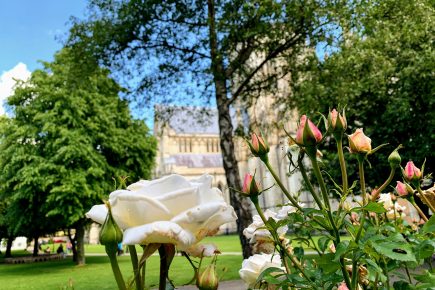 Bloom! is back – for one weekend only