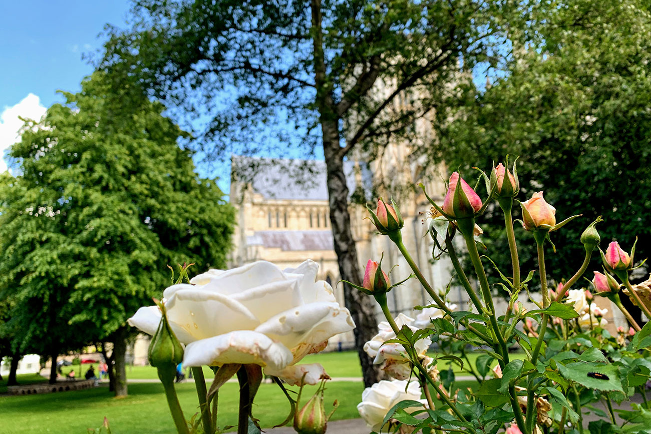 Bloom! is back – for one weekend only