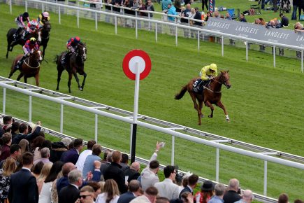 Who’ll win at York Races? Tips for the June meeting, Day 2