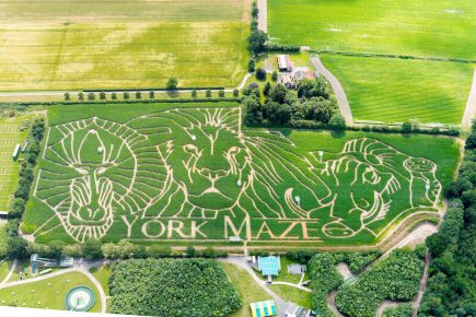 Updated with video and pix: York Maze reveals its theme for 2019