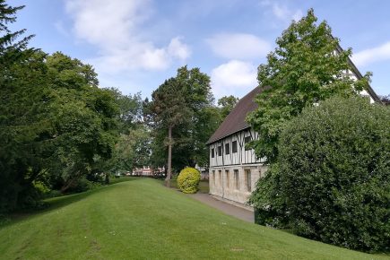 Up to 15 trees may be felled in Museum Gardens as part of flood defence work