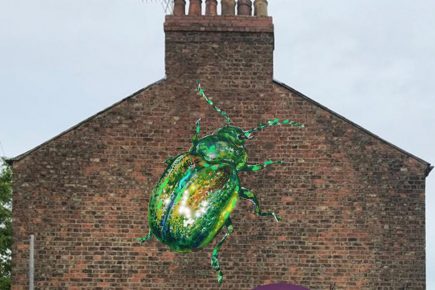 Beetle mania! This is where York’s latest street art could appear – a dazzling green bug