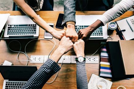 What can York businesses do to increase their online exposure?