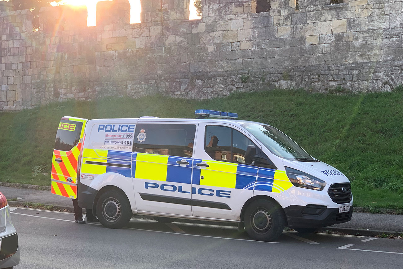 Gang assault woman, 20, on busy York street