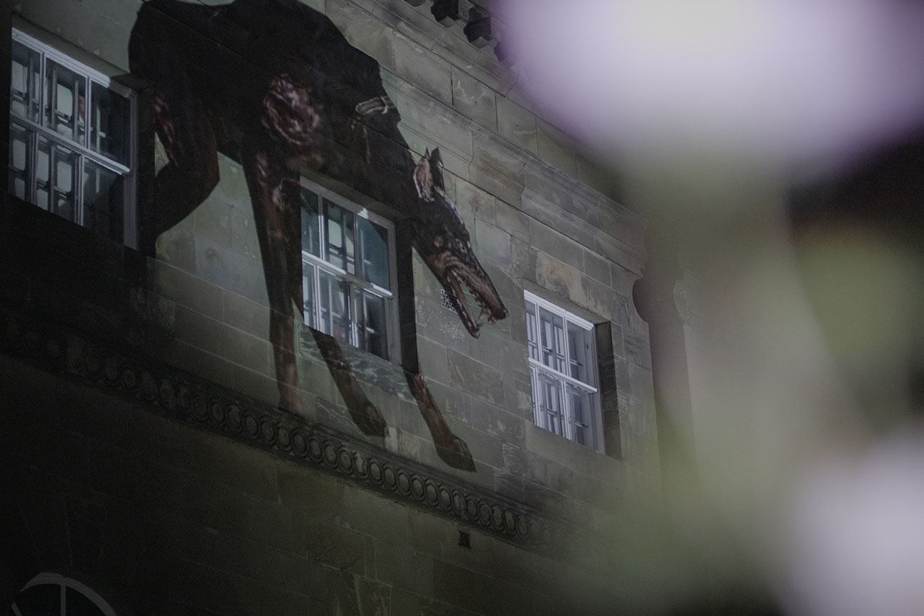 Video and pix: York buildings come alive with creepy creatures