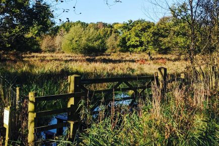 Askham Bog should ‘be cherished and protected’, first day of planning inquiry hears