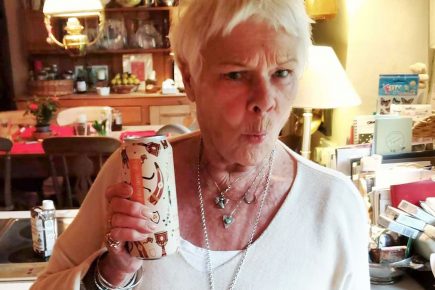 ‘I’m only here for MY beer!’ Dame Judi Dench knocks back a can of – Dame Judi Quench