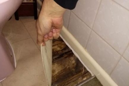 ‘Someone pinched the ceiling’ – Shocking condition of some York rented homes revealed
